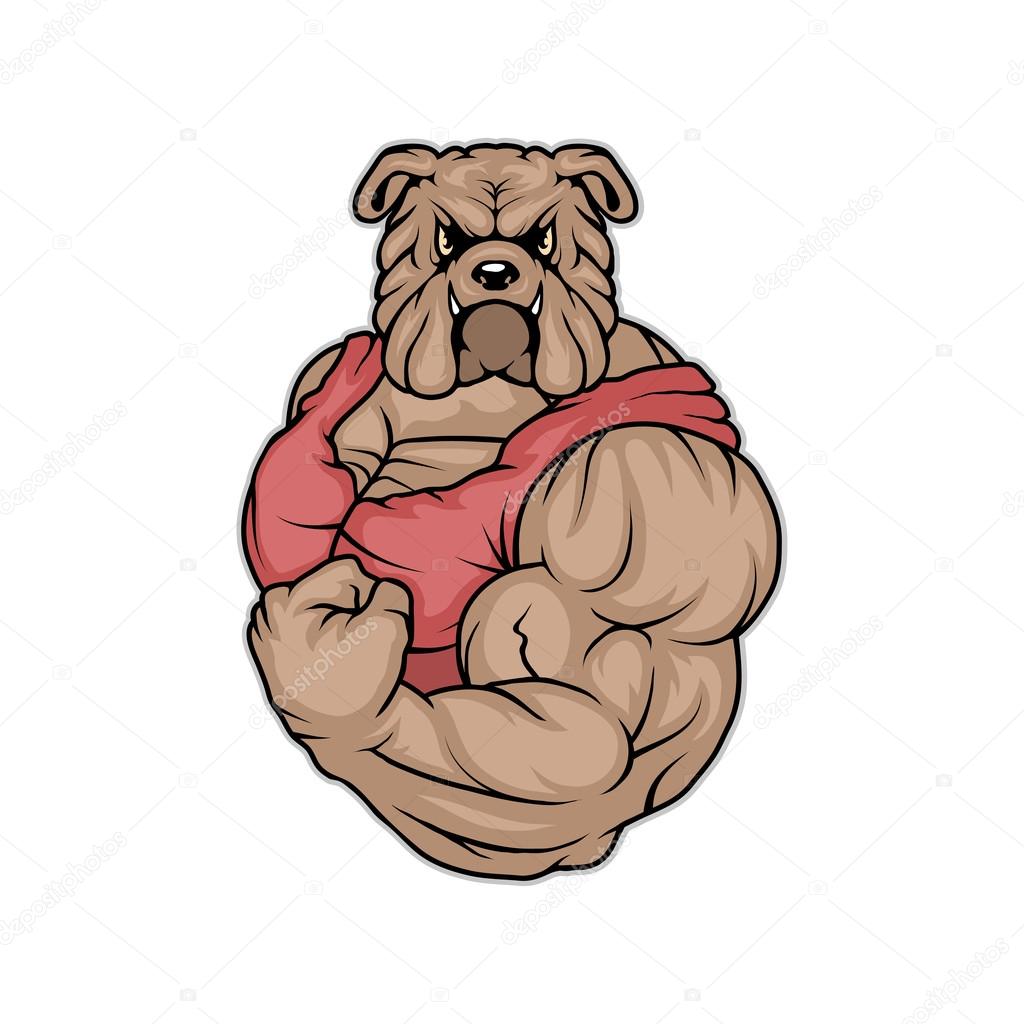Bulldog logo on white background, vector illustration