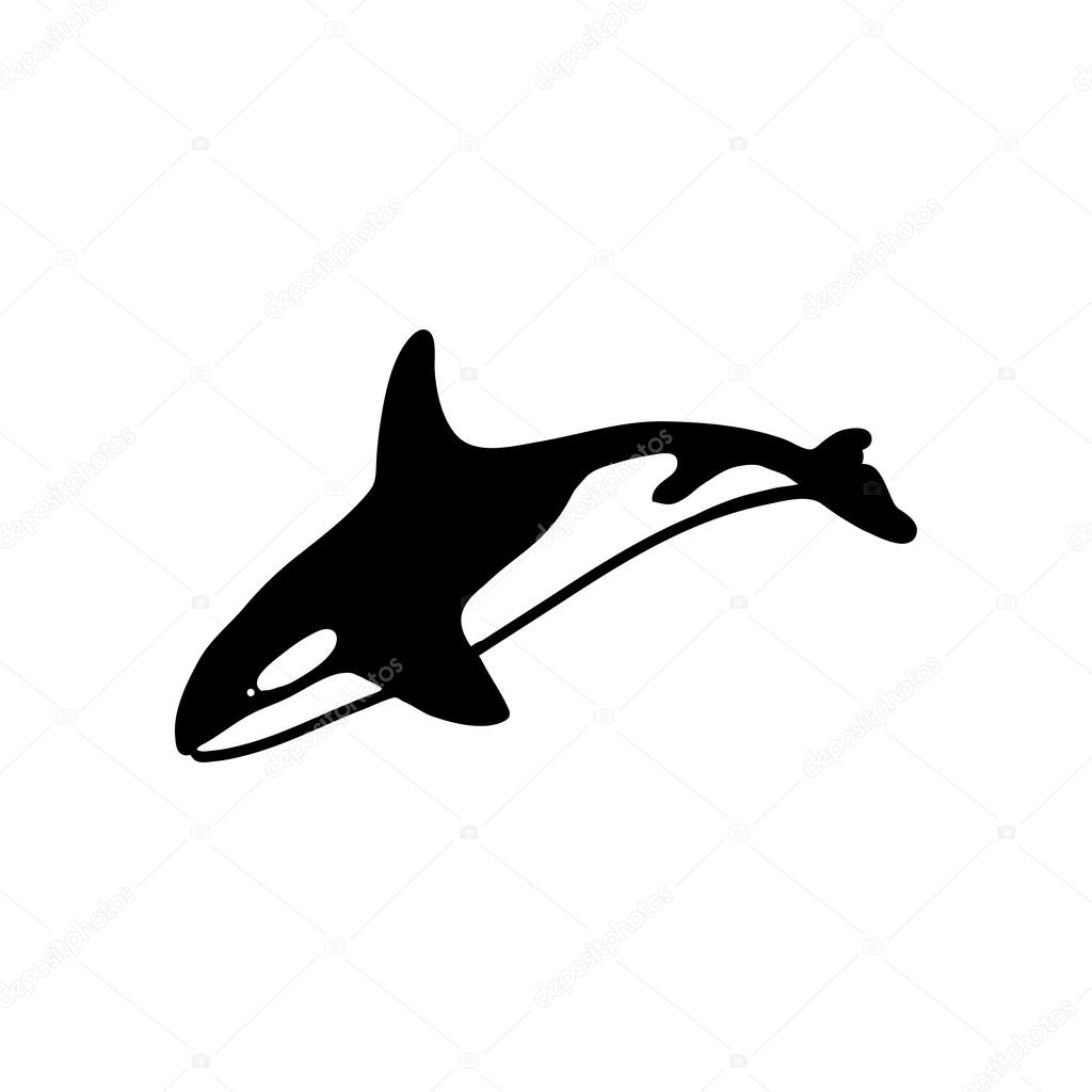 Black and white Killer Whale Logo , vector illustration
