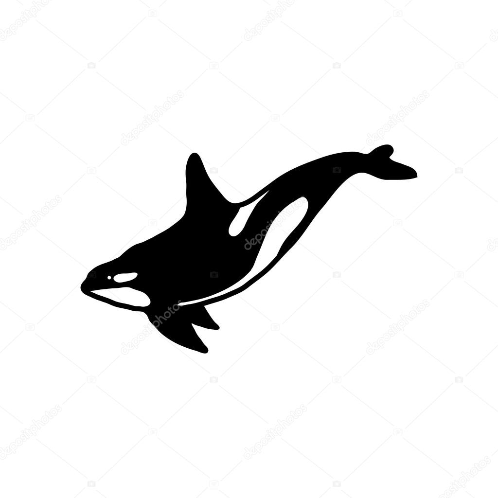 Black and white Killer Whale Logo , vector illustration