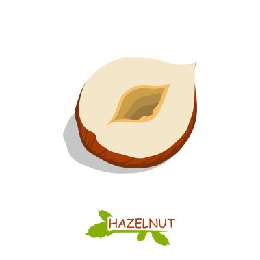 Fındıklar beyaz üzerine izole