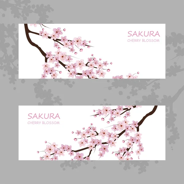 Flores sakura rosa — Vetor de Stock