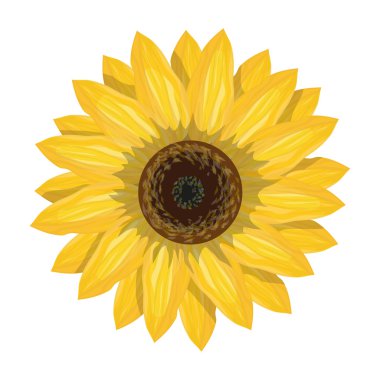 Sarı ayçiçeği simgesi