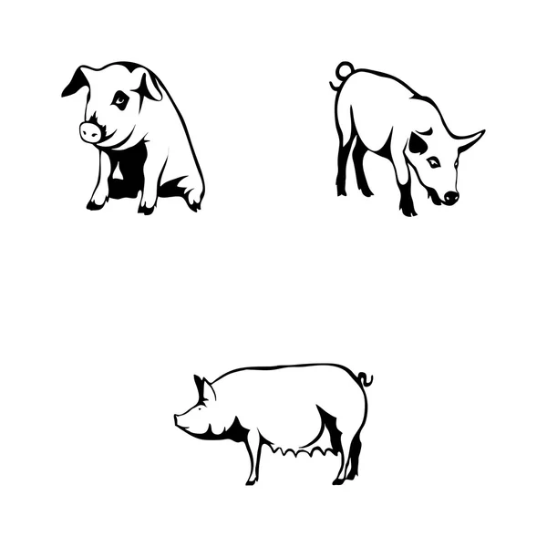 Zbiór logo świnia — Wektor stockowy