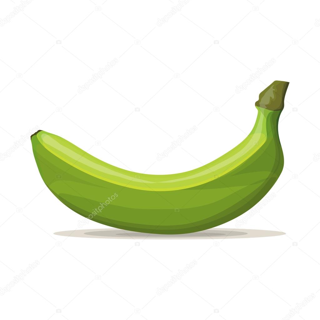 Green Banana illustration Stock Vector Image by ©korniakovstockgmail