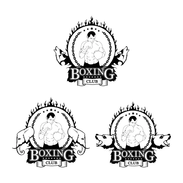 Conjunto de logos de boxeo — Vector de stock