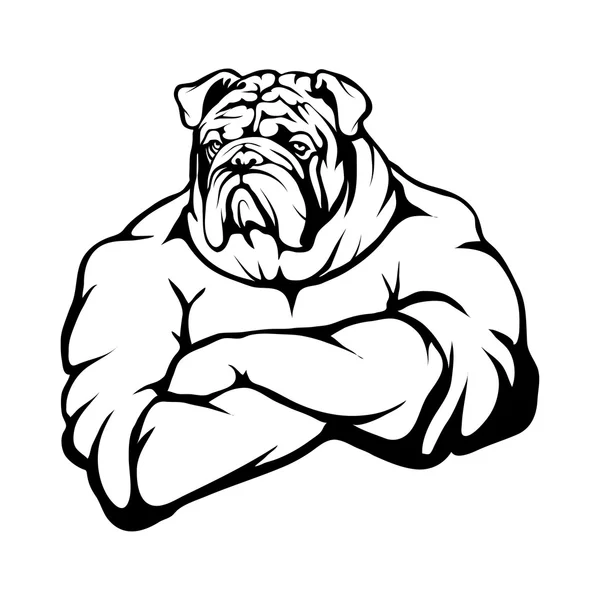 Bulldog logosu illüstrasyon — Stok Vektör