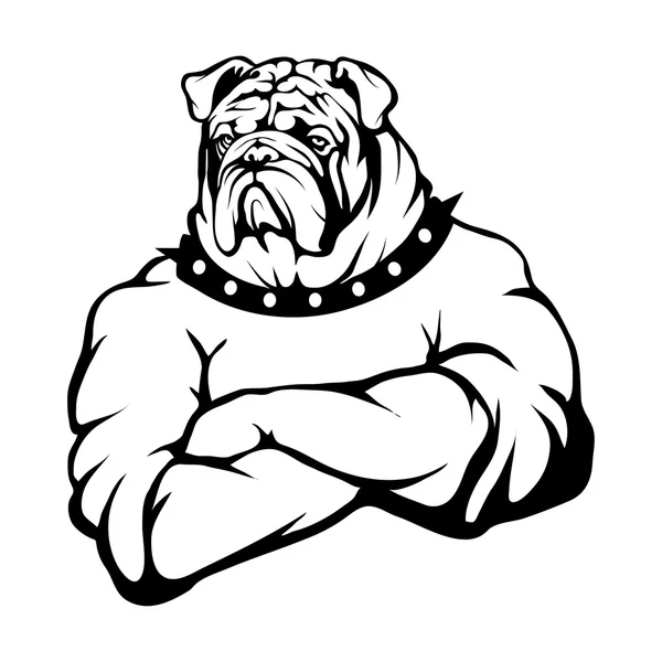 Bulldog logosu illüstrasyon — Stok Vektör