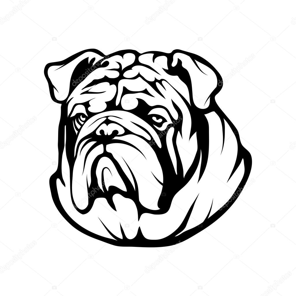 Bulldog logo. Vector illustration