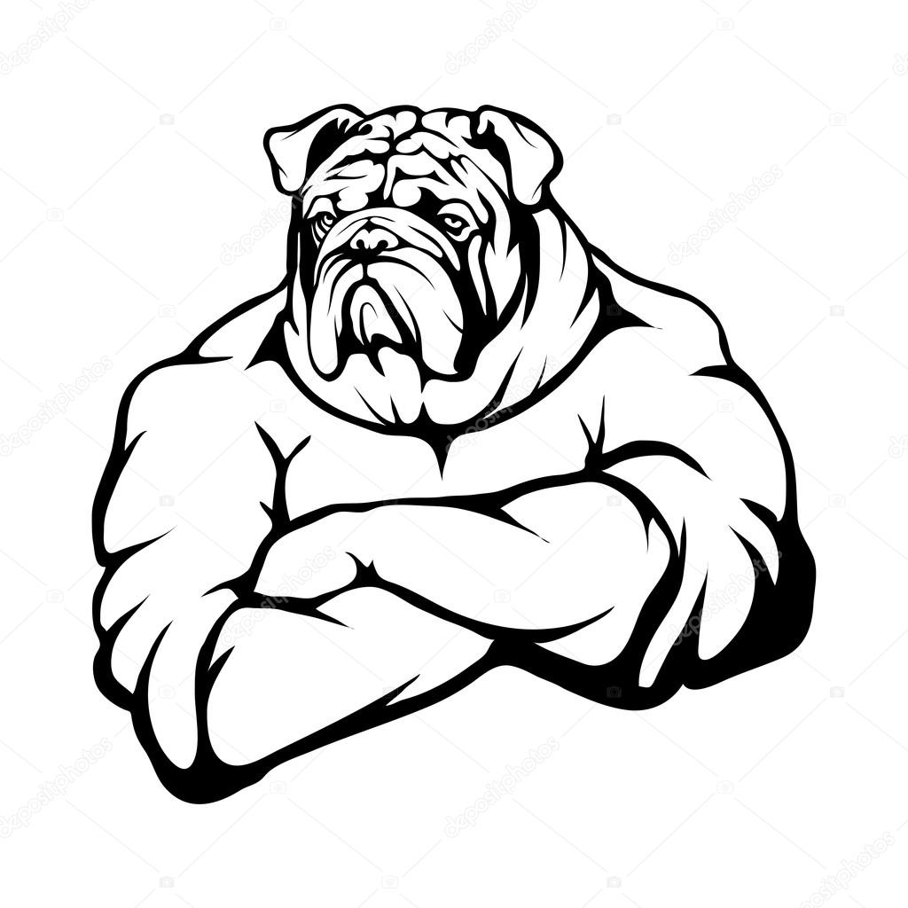 Bulldog logo. Vector illustration