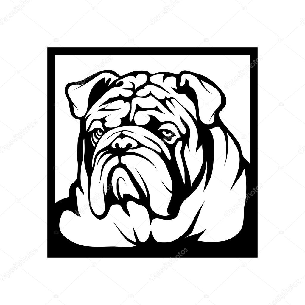Bulldog logo. Vector illustration