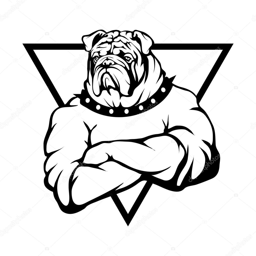 Bulldog logo. Vector illustration
