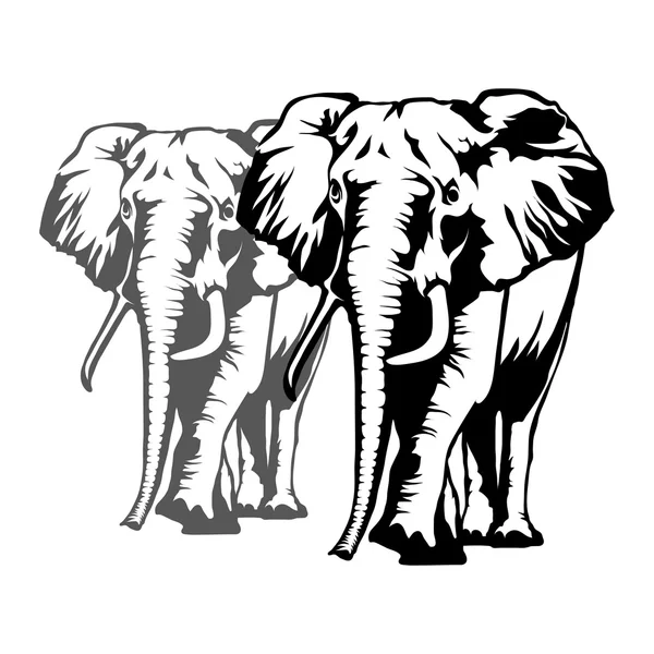 Elephant logo illustration — Stock Vector