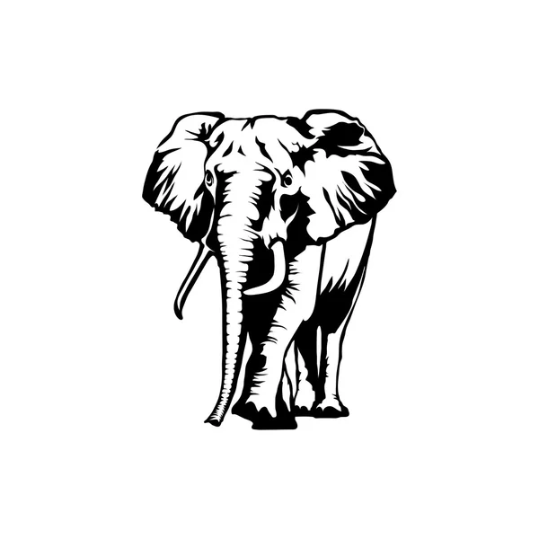 Elefant Logo Illustration — Stockvektor