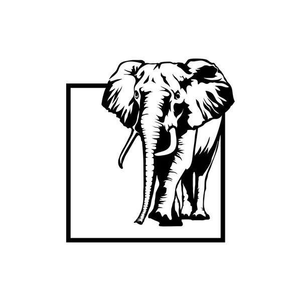 Ilustração do logotipo do elefante —  Vetores de Stock