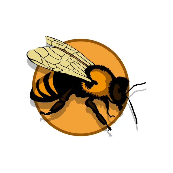 Bee logo illustration — Stock Vector
