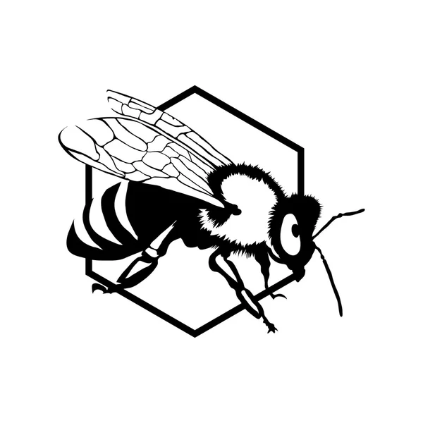 Illustration du logo abeille — Image vectorielle