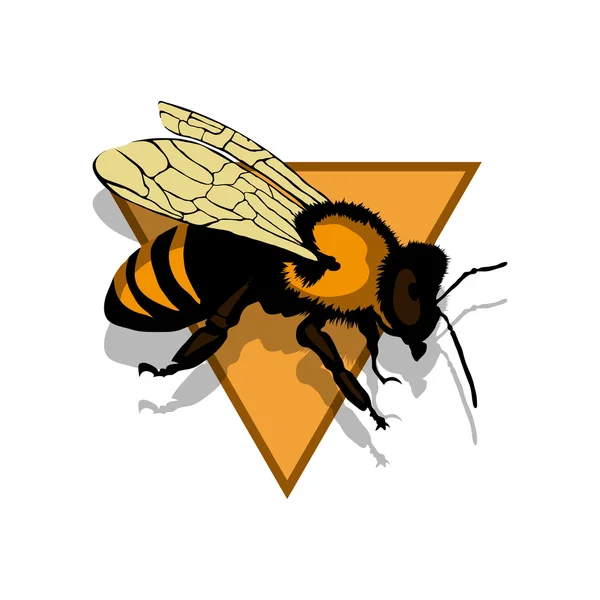 Bee logotyp illustration — Stock vektor