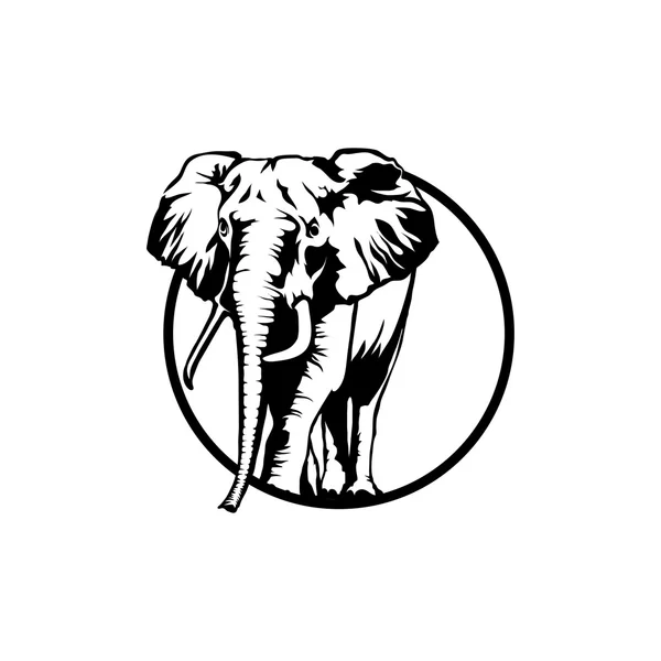 Ελέφαντας λογότυπο εικονογράφηση — Διανυσματικό Αρχείο