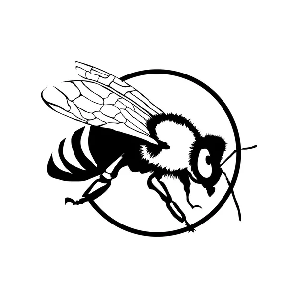Arı logo illüstrasyon — Stok Vektör