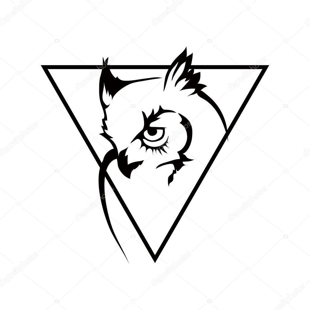 owl logo illustration 