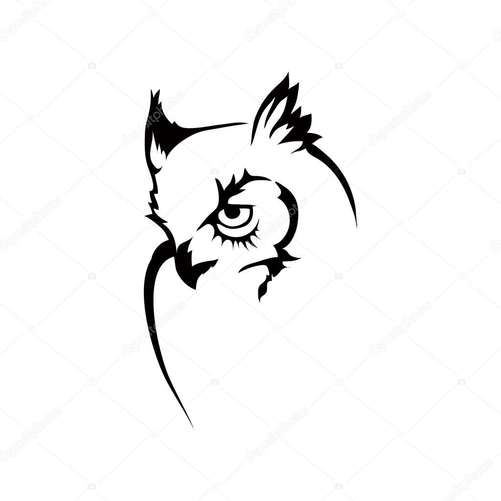 owl logo illustration 