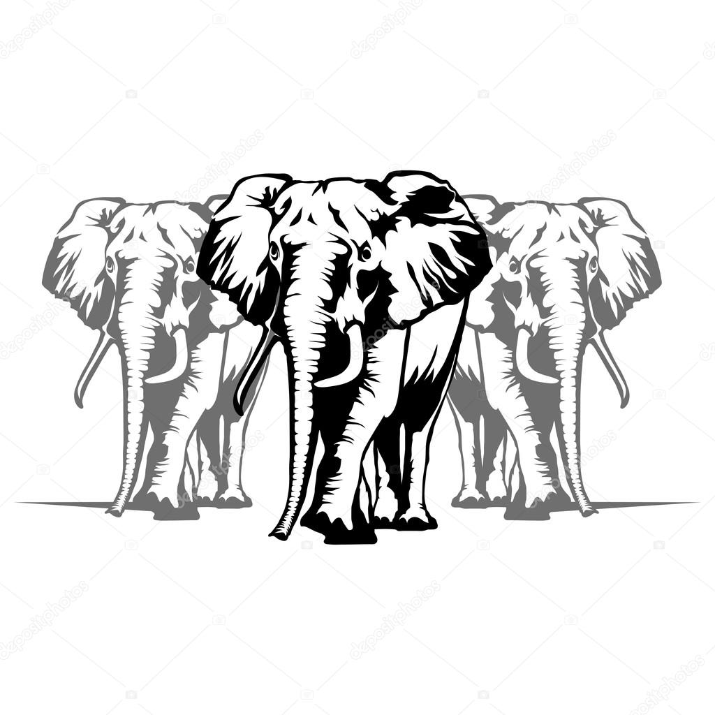 Три слона логотип вектор