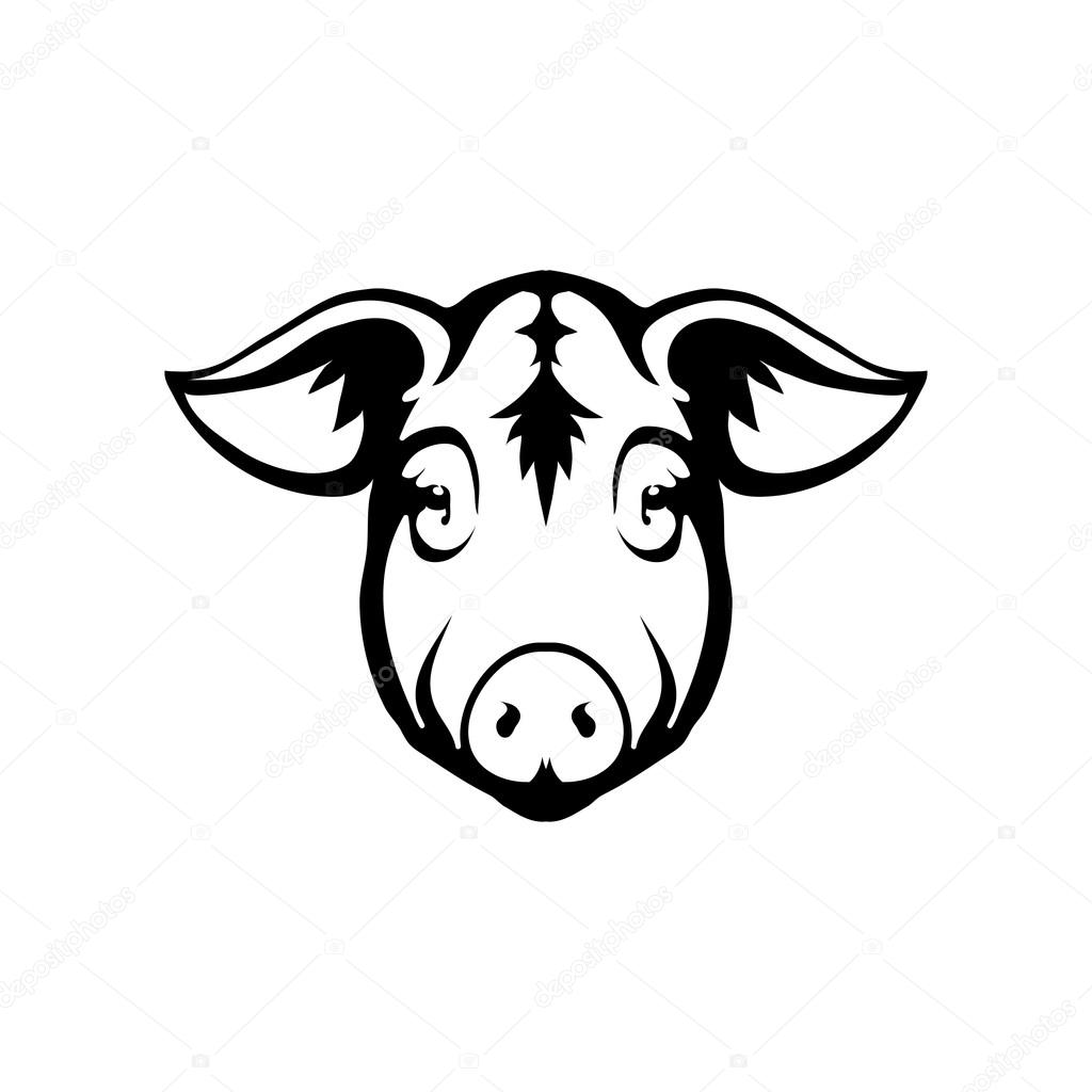 pig logo illustration