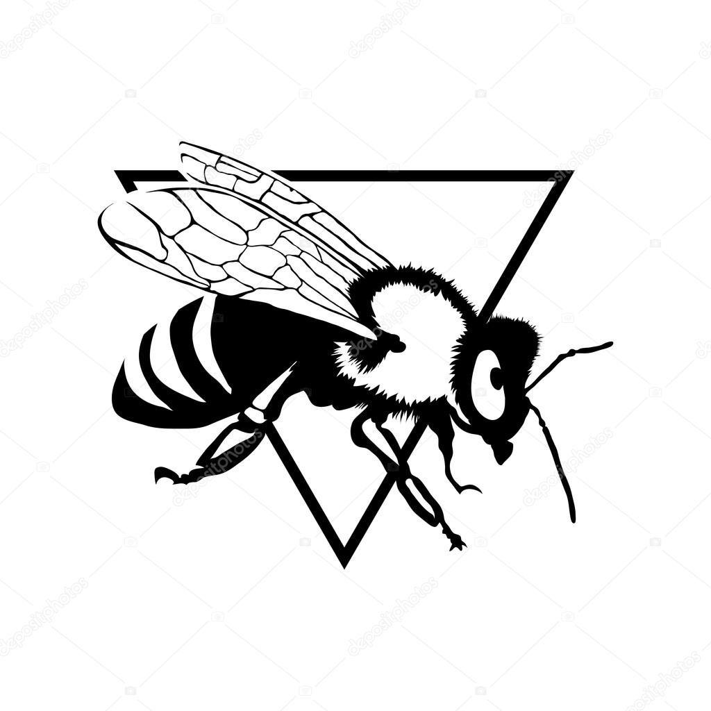bee logo illustration