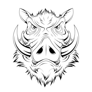  Yaban domuzu kafası. Domuz herif. Yaban domuzu kafası logosu. Maskot, logo ya da sembol çizimi. Domuz ya da domuz maskotu. Tasarlanacak vektör grafikleri