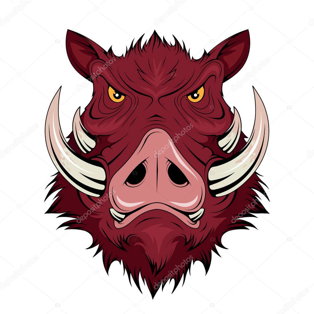  Wild Boar Head. Pig. Boars Head Logo. Sketch for mascot, logo or symbol. Hog or boar mascot. Vector graphics to design