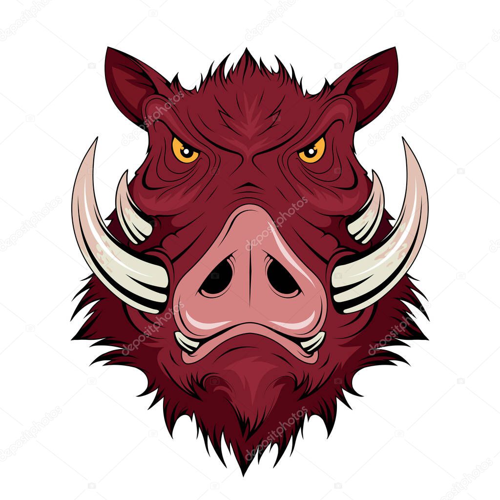 Wild Boar Head. Pig. Boars Head Logo. Sketch for mascot, logo or symbol. Hog or boar mascot. Vector graphics to design