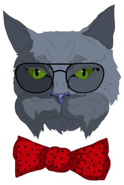 İzole hipster kedi