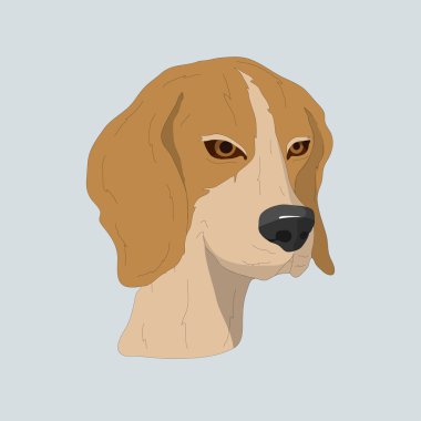 gri arka plan üzerinde köpek