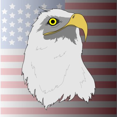 Amerikan bayrağı kartal
