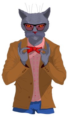 kediyi yerden giyinmiş