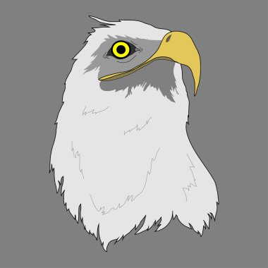 Gri arka plan üzerinde kartal