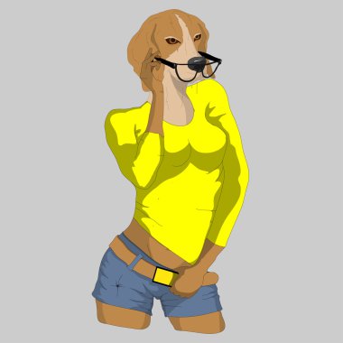 Köpeği giyinmiş hipster
