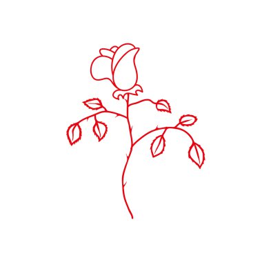 Beyaz arkaplanda kırmızı gül