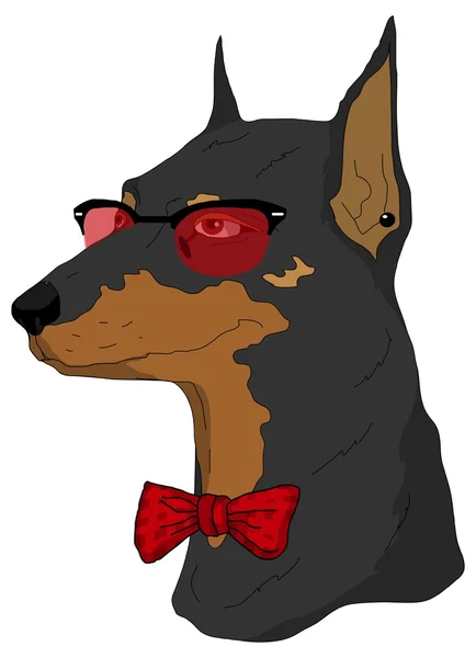 Hipster perro en gafas — Vector de stock