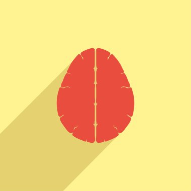 Beyin görüntüsünü