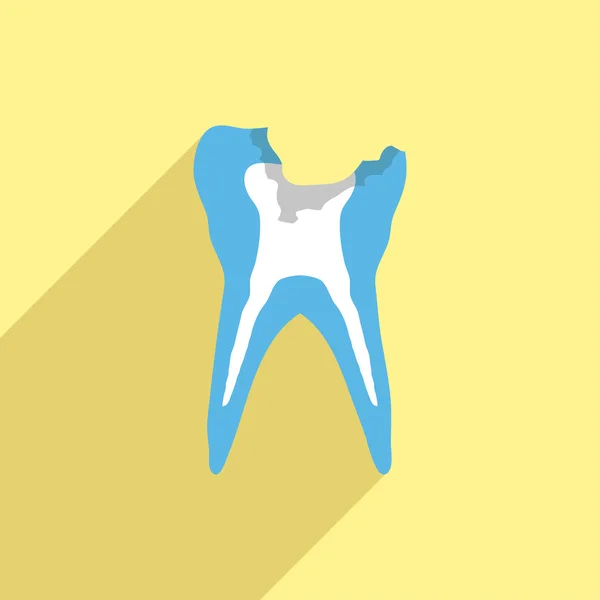 Imagem do dente —  Vetores de Stock