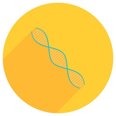 Dna yapısı düz görüntü