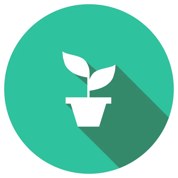 Płaskie ikona Roślina doniczkowa — Wektor stockowy