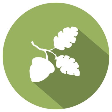 Meşe palamudu ile düz simgesi bırakır