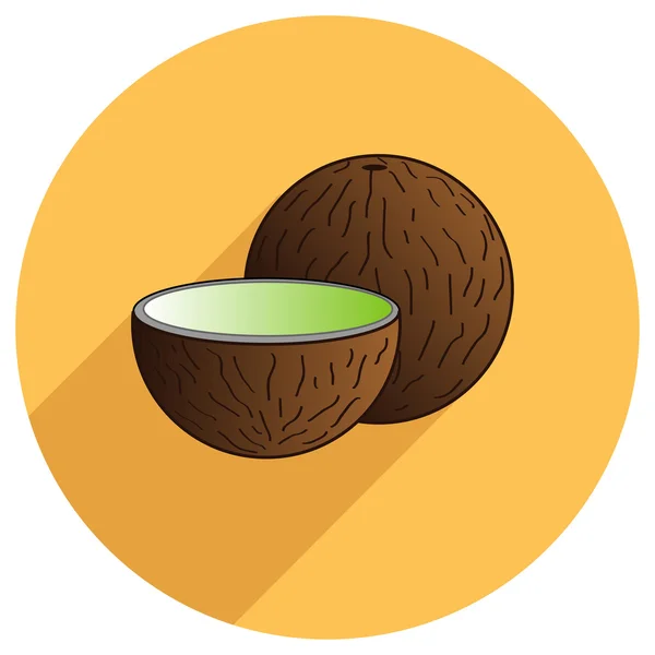 Flache Ikone der Kokosnuss — Stockvektor