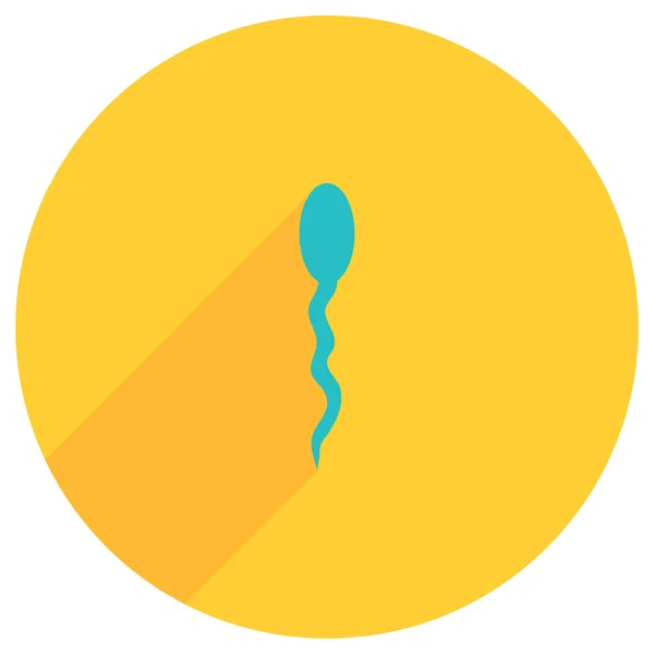 Flat image of sperm and egg — Stock Vector