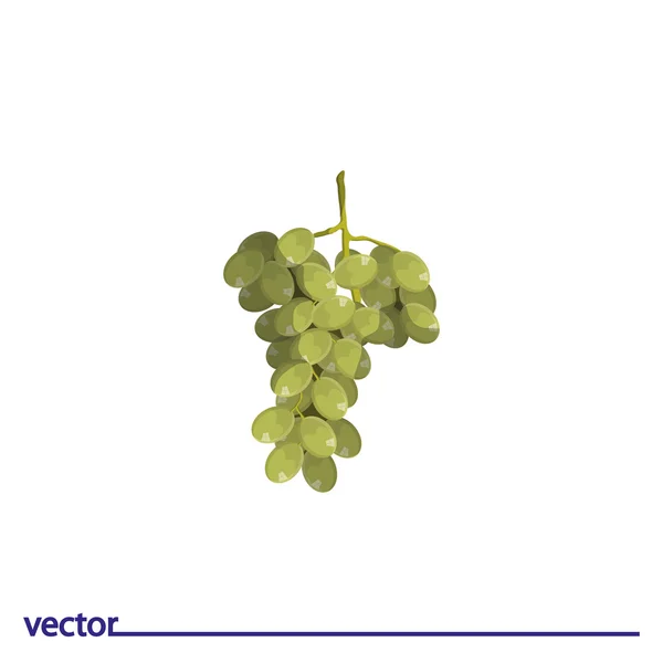 Ícone de uvas sobre fundo branco . — Vetor de Stock