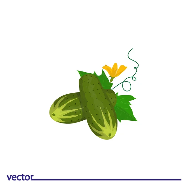 Icône de concombre. Isolé — Image vectorielle