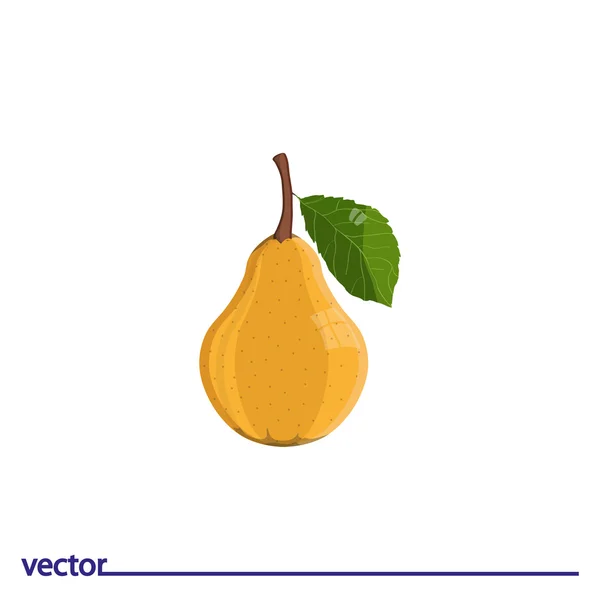 Flat Icon of pear — Stock Vector