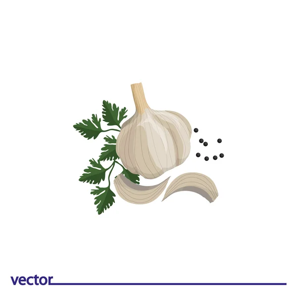 Icon of garlic with parsley — Stock Vector